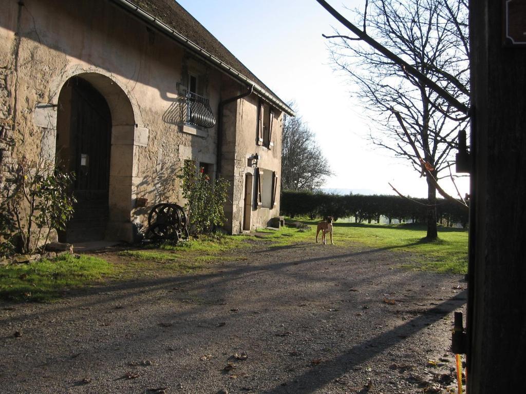Chez Robert Et Catherine Dompierre-sur-Mont Szoba fotó